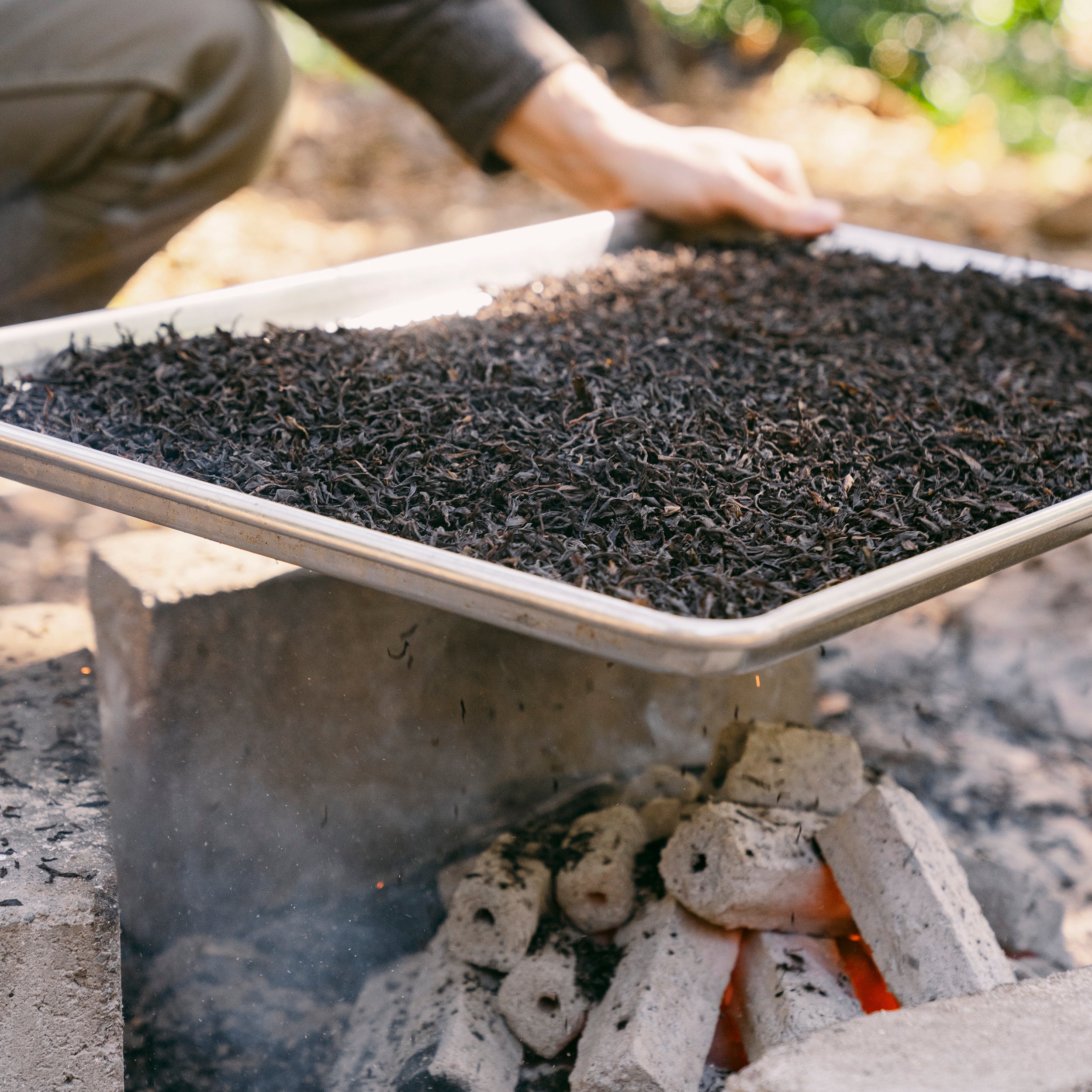 Double Roasted Oolong - Image 6