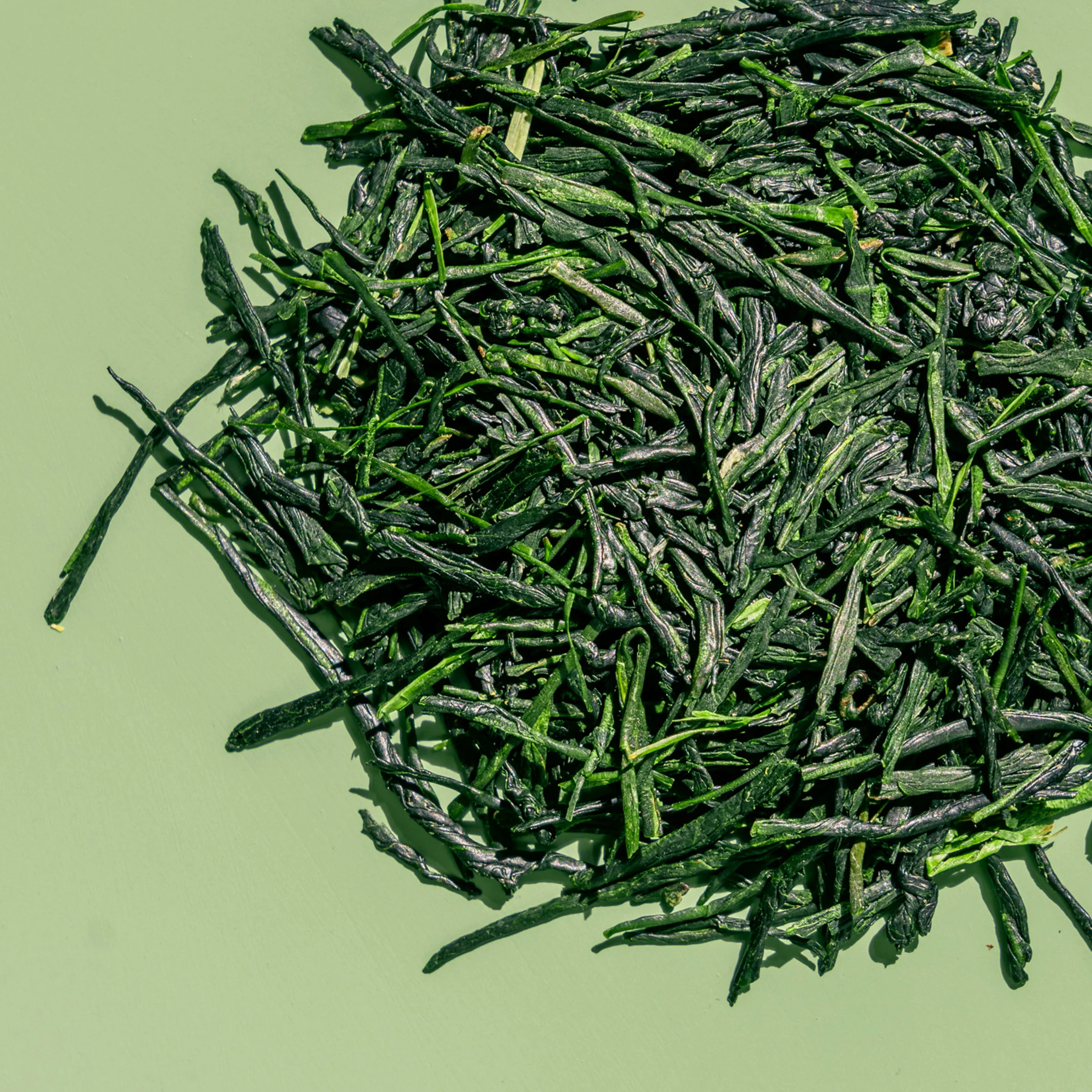 First Harvest Gyokuro - Image 5